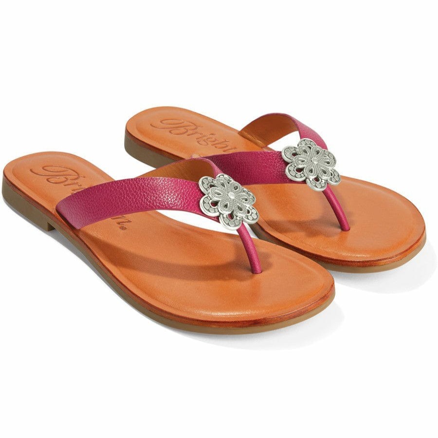 Footwear Brighton Collectibles Sandals | Aster Flower Thongs